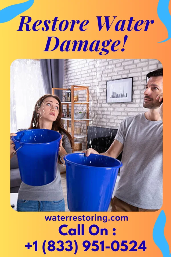 water restoration National Restoration Team Euless