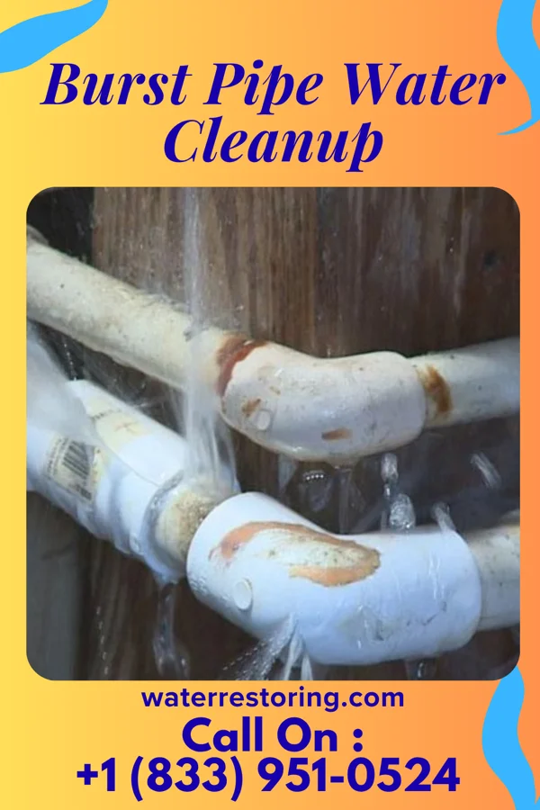Burst Pipe Water Cleanup in Euless, TX