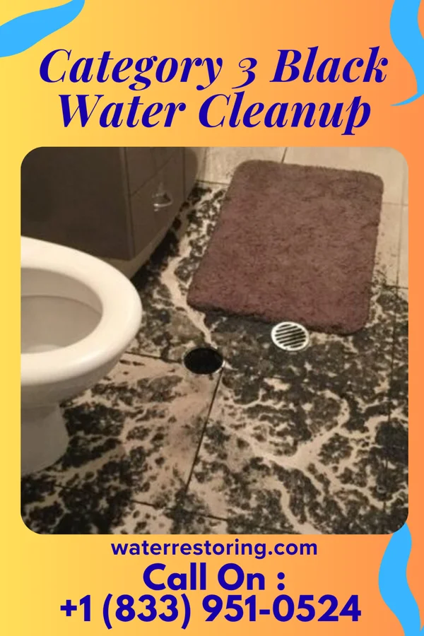 Category 3 Black Water Cleanup in Euless, TX