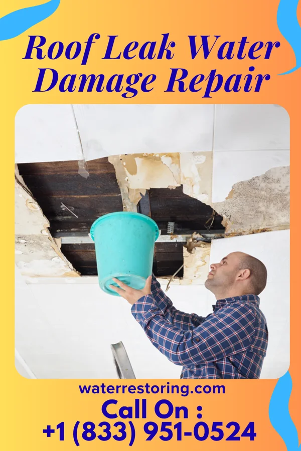Roof Leak Water Damage Repair in Euless, TX